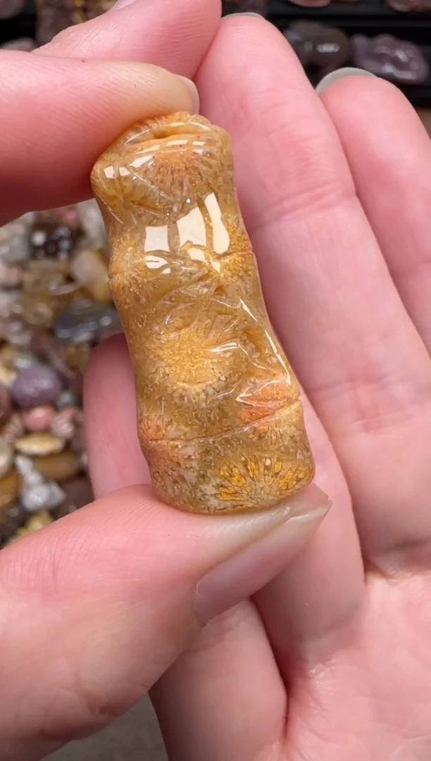 颈饰未镶嵌硅化珊瑚（珊瑚玉）376