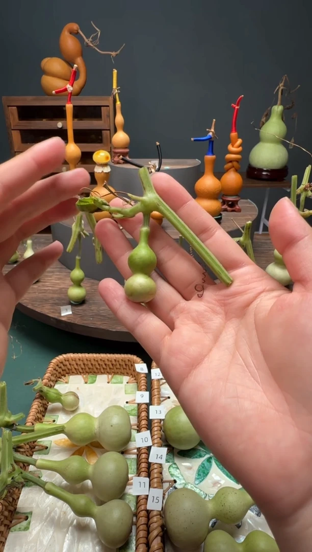 玄***客文玩葫芦摆件手把件青皮天津嘴