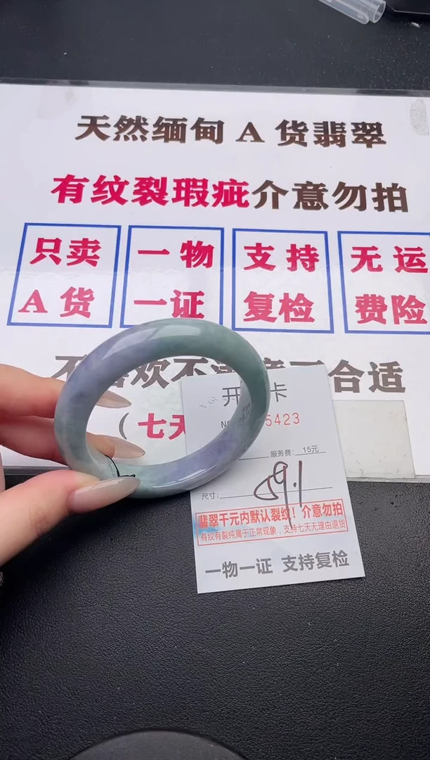 未镶嵌手镯翡翠23