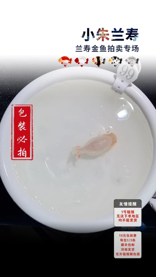 金鱼包装必拍未拍顺丰到付99号