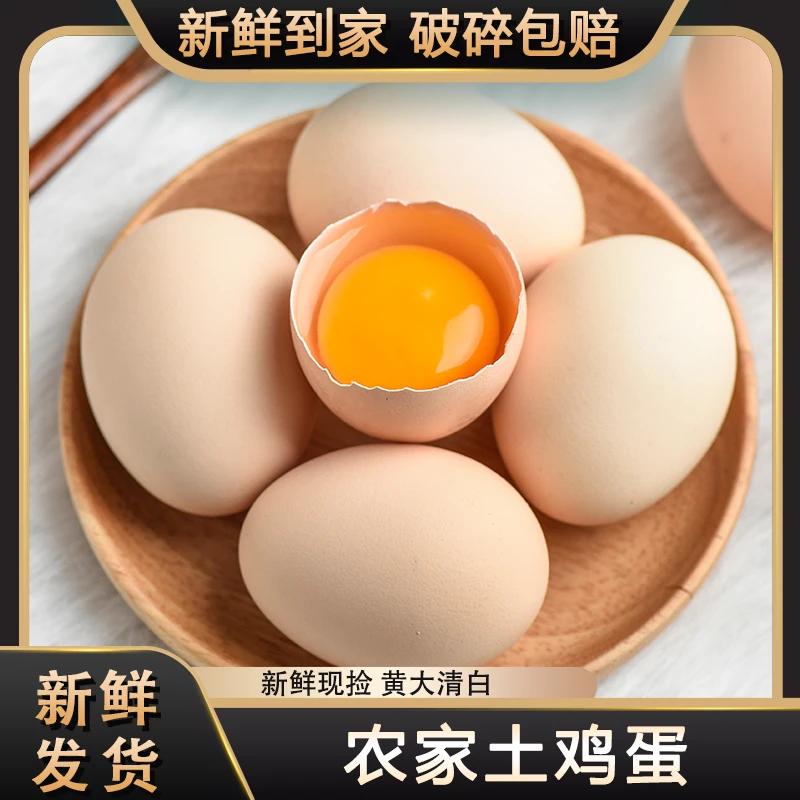 新鲜土鸡蛋 农家放养土鸡蛋 40枚/1600g