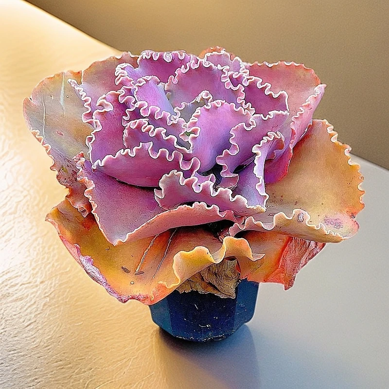 法国皇后  女王 脱土发货 多肉【满15包邮】直播间展示为准易老桩