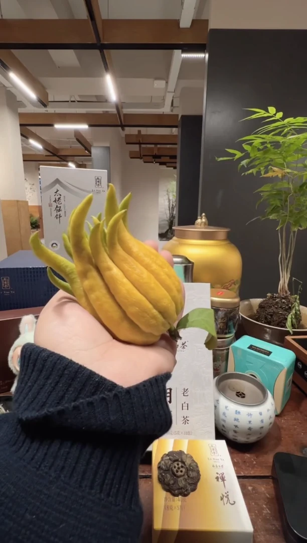 搼*给尊贵茶友的专属链接