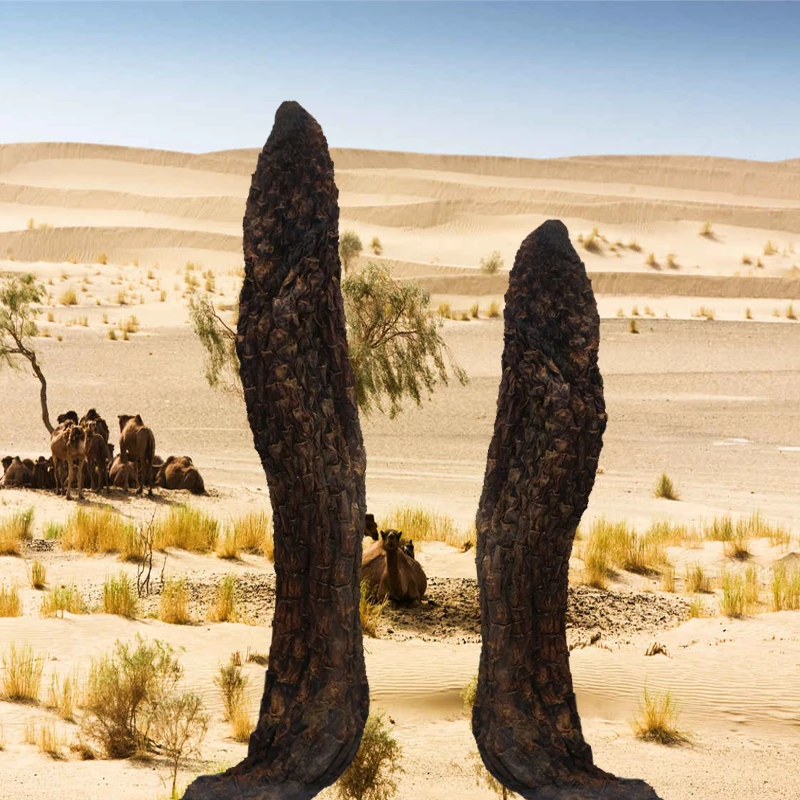 （英雄乐）肉苁蓉 覆盆子 西洋参 淮山 芡实  代客磨粉