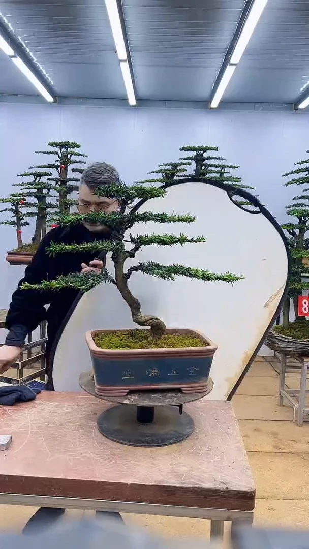 【闪购商品】一物一拍，所见即所得