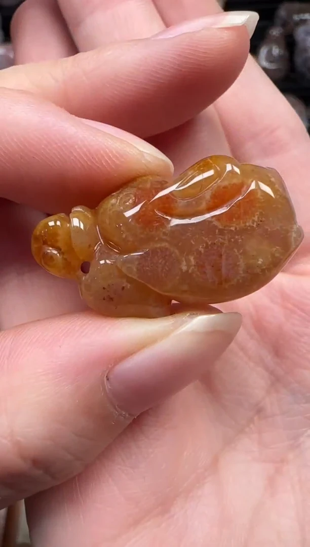 颈饰未镶嵌硅化珊瑚（珊瑚玉）634