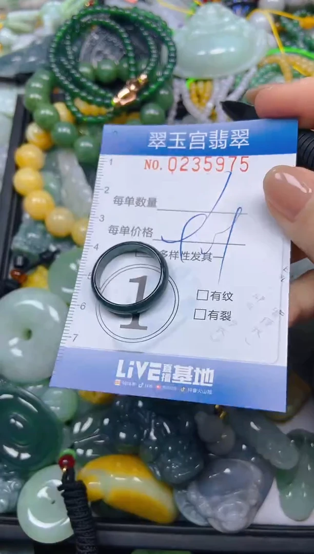 颈饰未镶嵌翡翠闪购C0235975