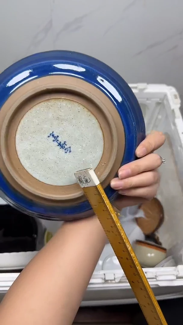 【闪购商品】497回流瓷器默认微瑕，18.8包邮