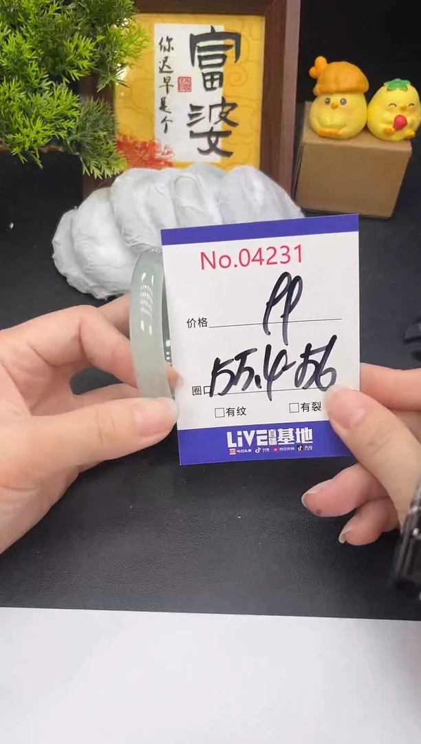 未镶嵌手镯翡翠4231