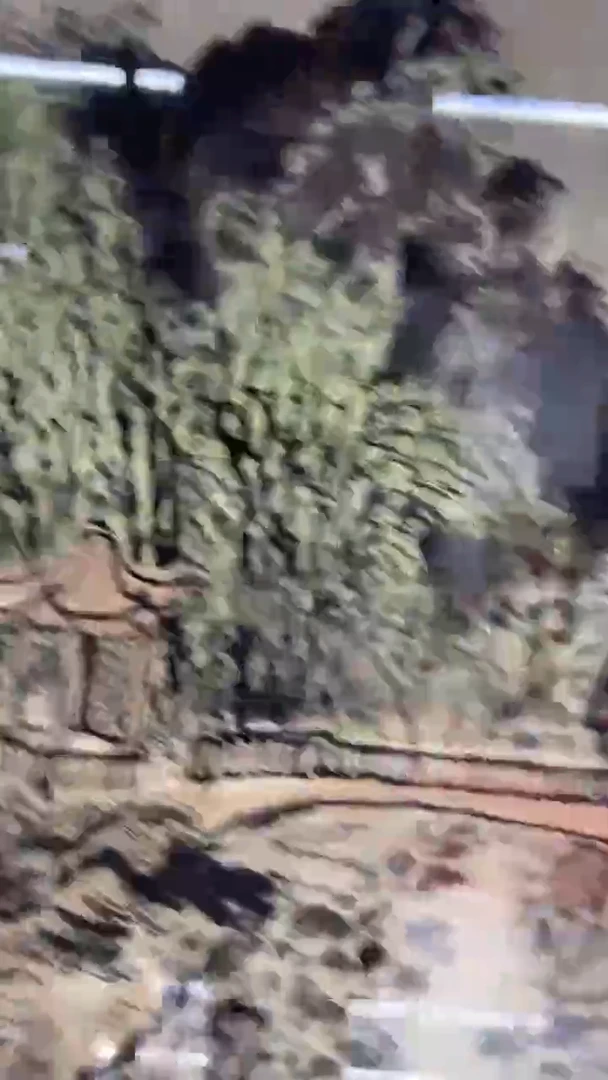 国画吴丽珠-1.5平尺-国画作品