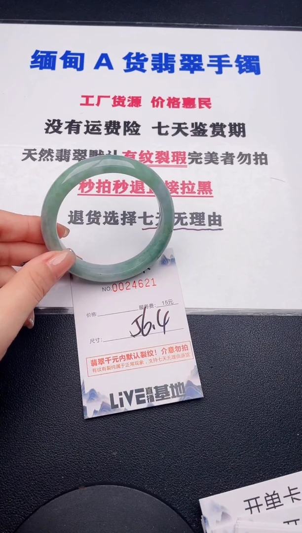未镶嵌手镯翡翠21
