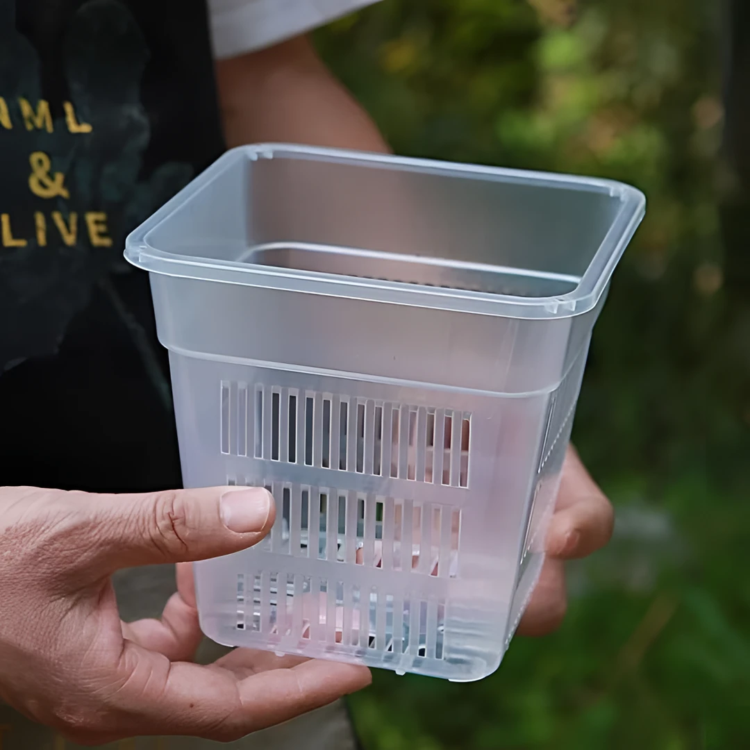 特价控根方盆兰花盆栽正方形塑料花盆透气透光观根盆定植篮水培盆