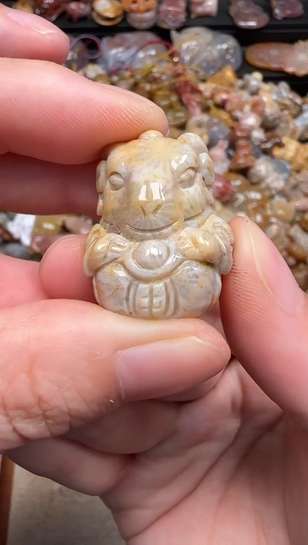 硅化珊瑚（珊瑚玉）未镶嵌颈饰424