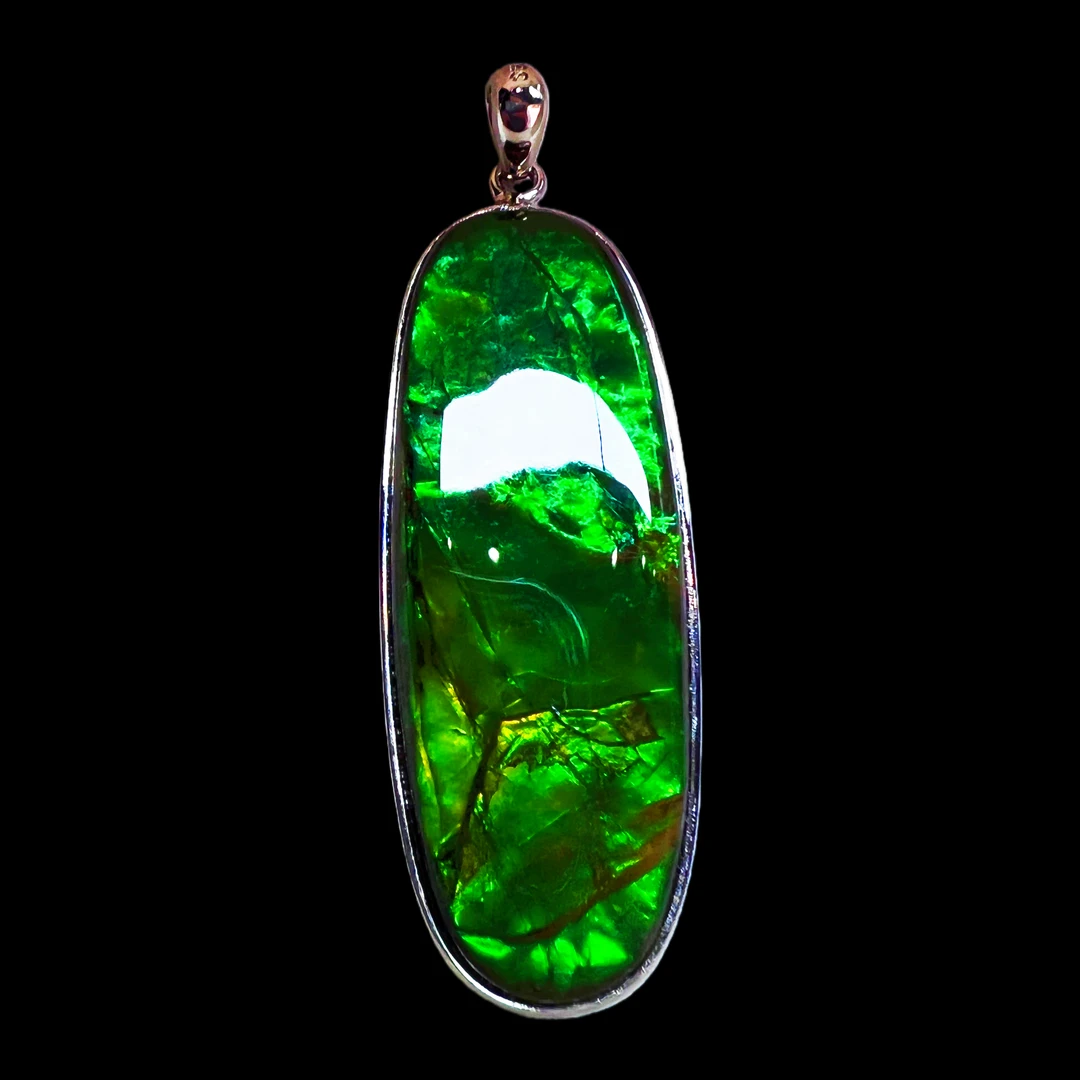 【斑彩】46.6mm 加拿大 N-25  DZ-E  贝壳创意饰品 E311