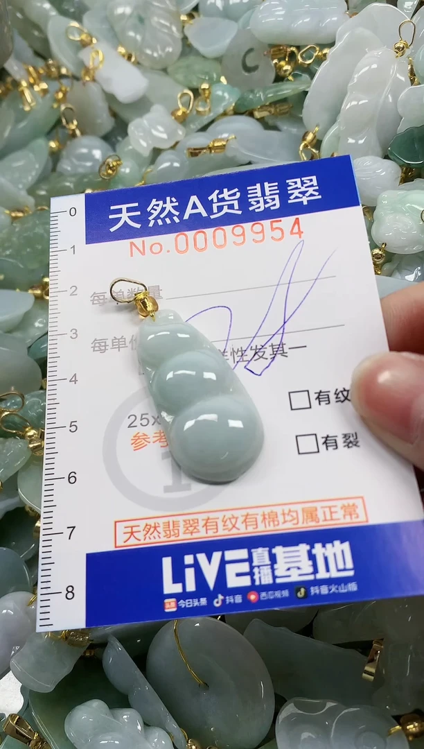 颈饰未镶嵌翡翠纯天然a货翡翠