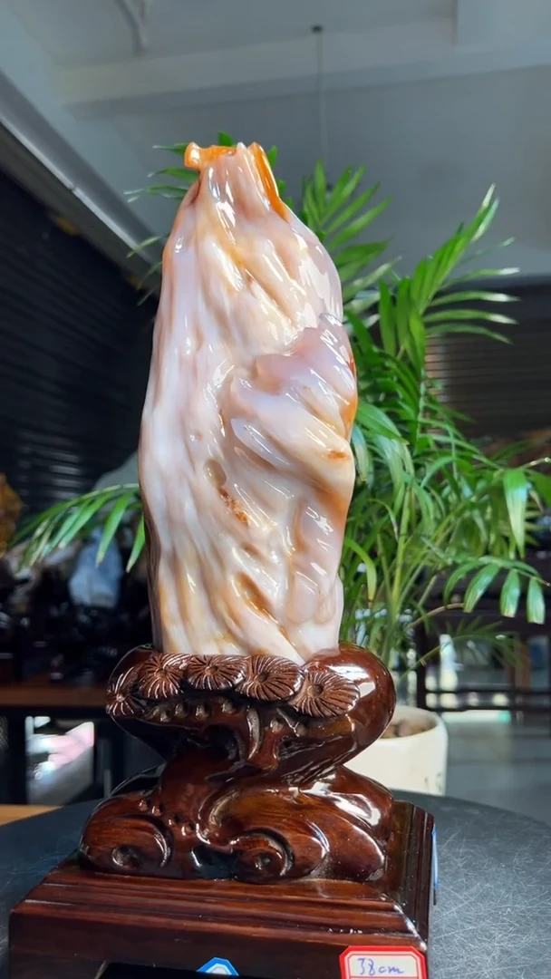 未镶嵌硅化玉（树化玉）珠宝奇石1118（高度38厘米）