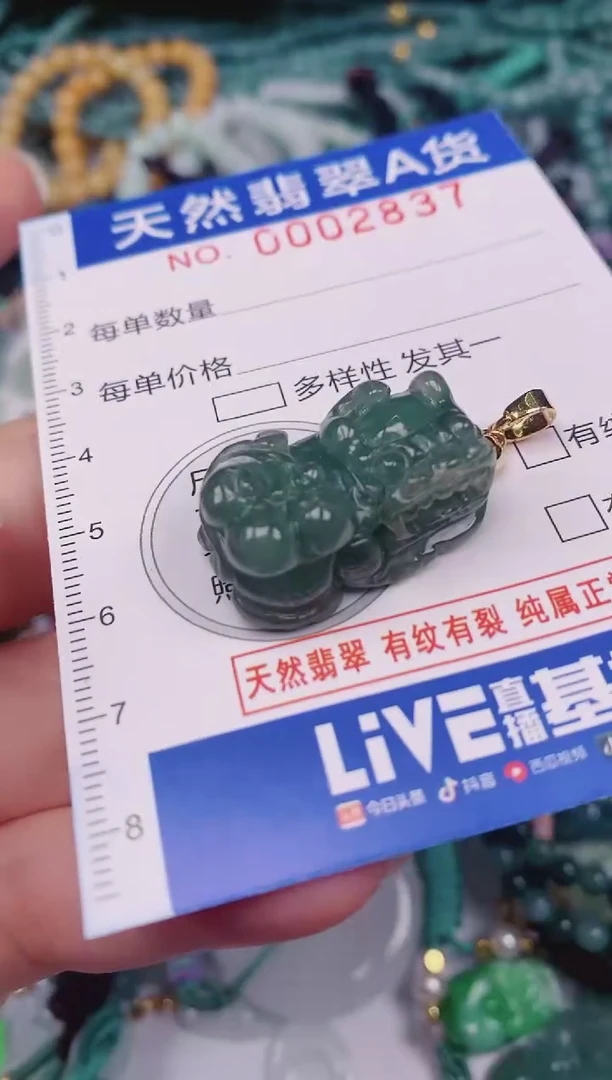 颈饰未镶嵌翡翠00002837