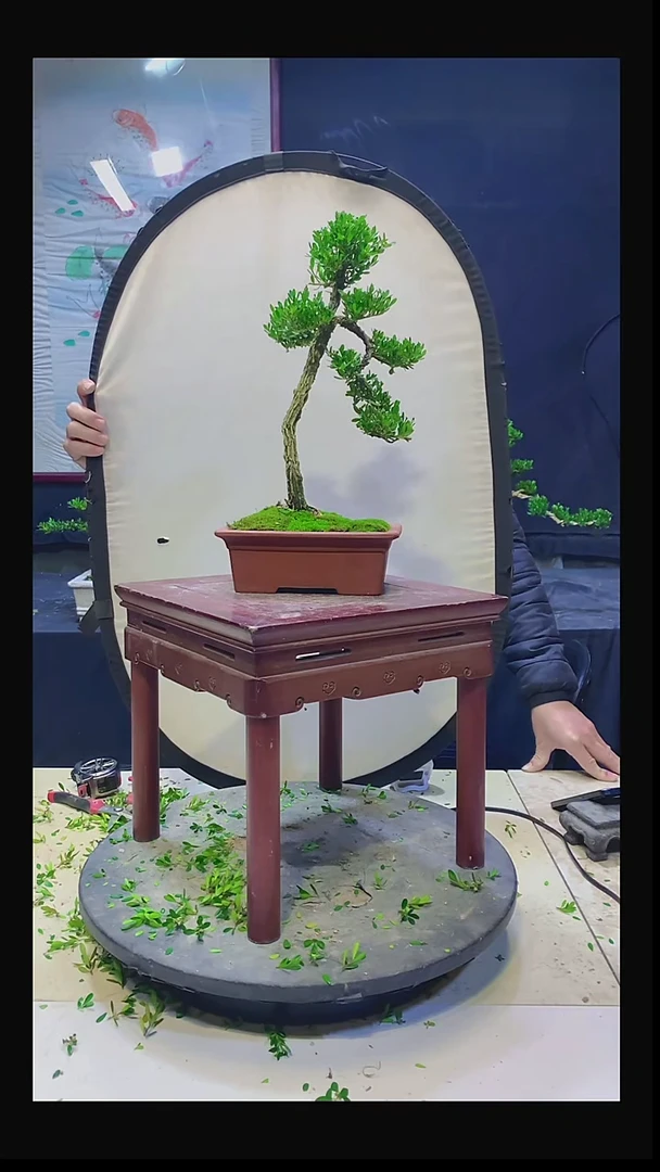 无花朵沈*11111111111111