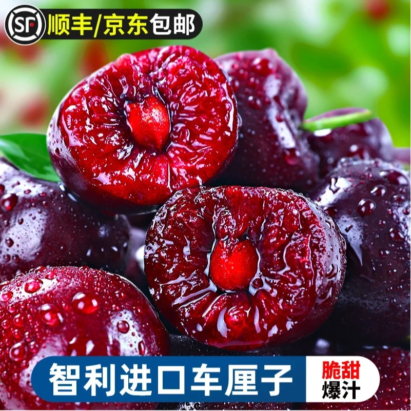 【顺丰包邮】智利进口车厘子桑提娜3JD 净重5斤