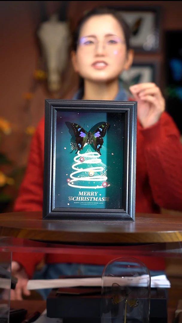 Q22    玫瑰青凤蝶