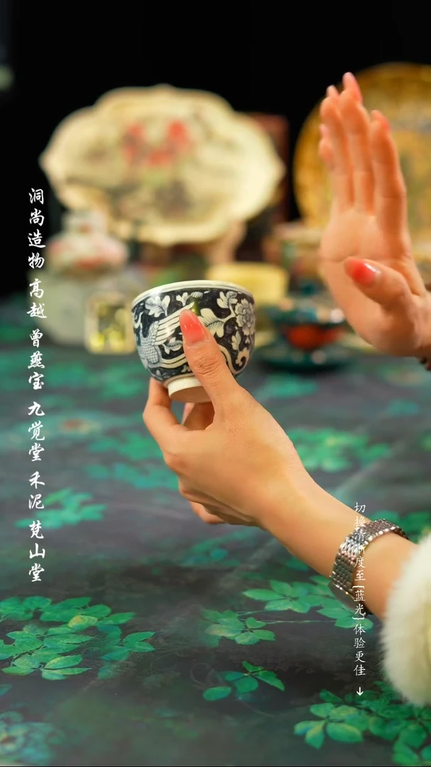 【闪购商品】fst圆杯············
