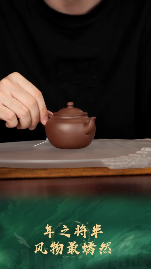 6珽珽茶器紫砂壶底槽清秋月160cc