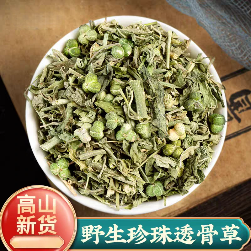 新货珍珠透骨草叶菜可泡水泡脚泡澡搭伸筋草