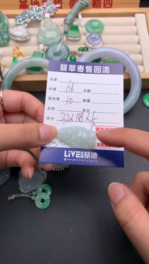 翡翠18K金镶嵌颈饰10138557