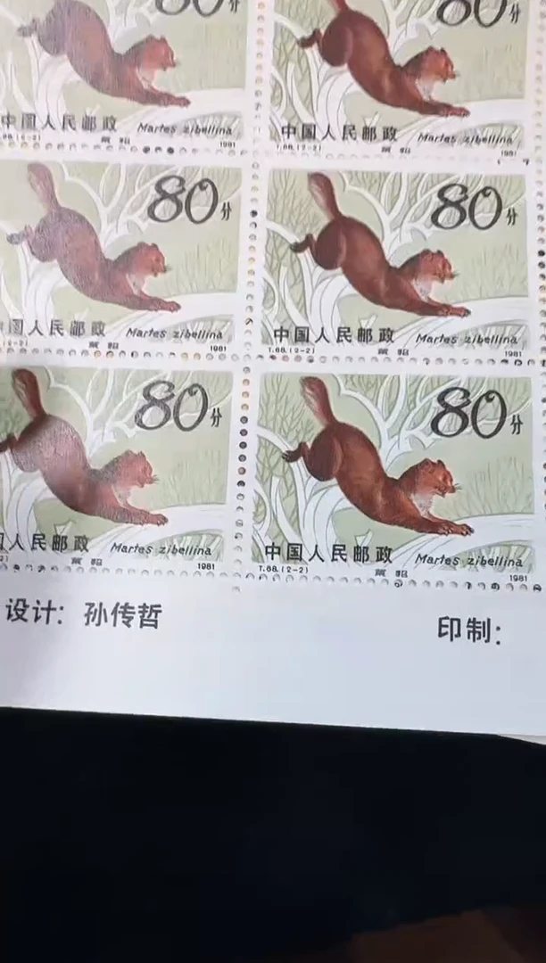 《紫貂》大版 CSGS评级 邮票