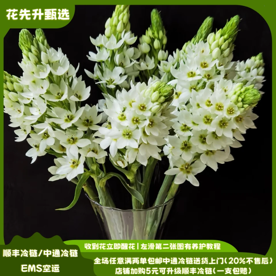 家用鲜花圣心百合,云南鲜花基地直发