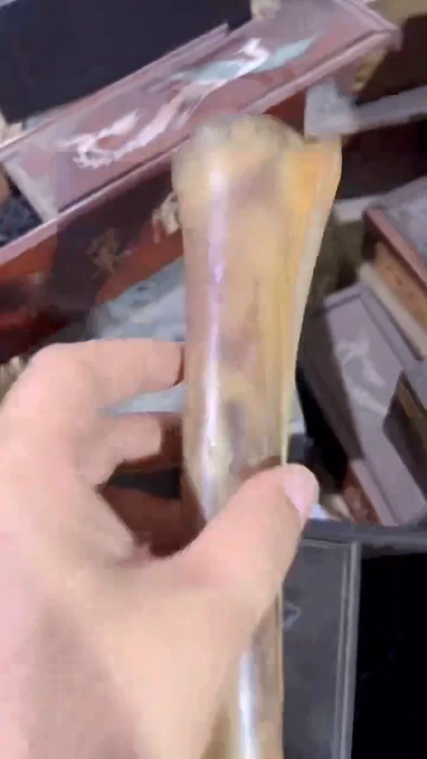 紫砂紫砂紫砂紫砂