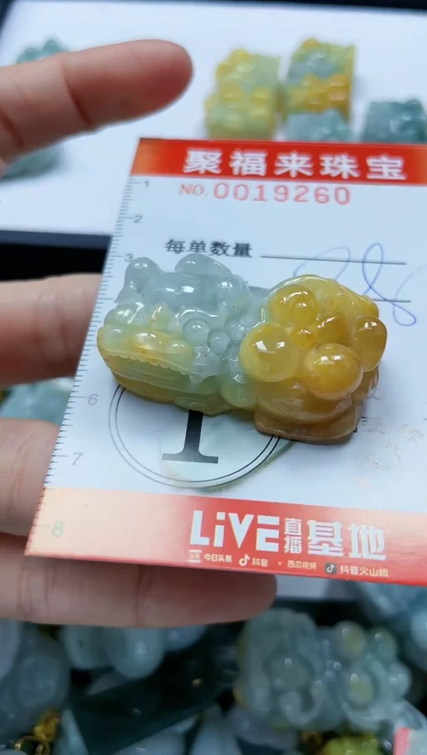 【闪购商品】翡翠颈饰未镶嵌闪购0019260