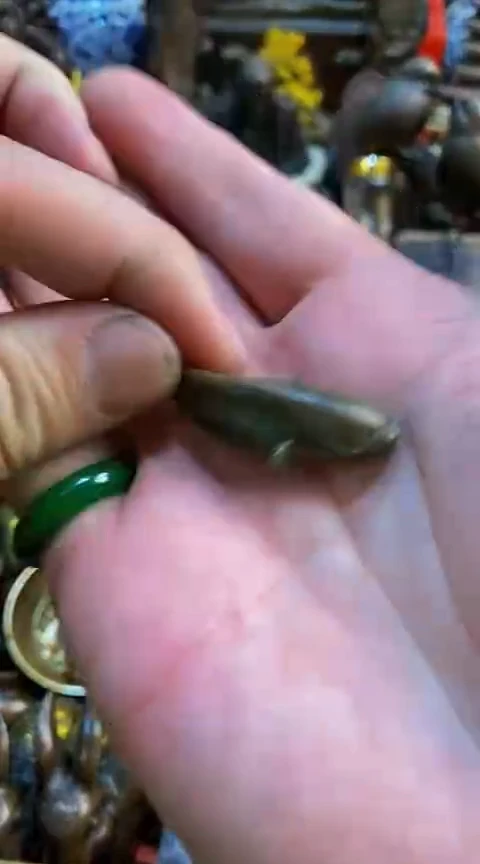 【闪购商品】铜器小摆件（杰起臻选）WS4