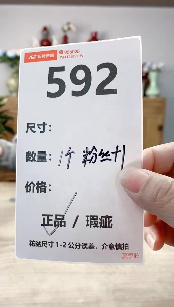 晴好园艺直播编号592