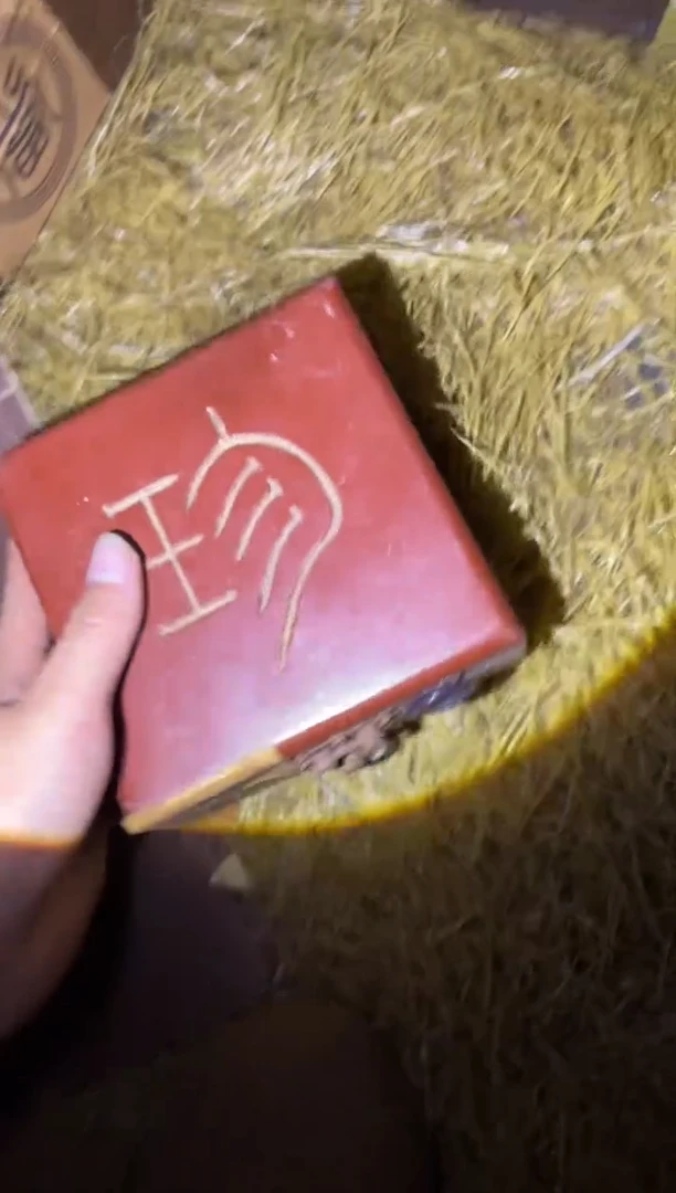 瓷片琪琪专属链接安安安安安安
