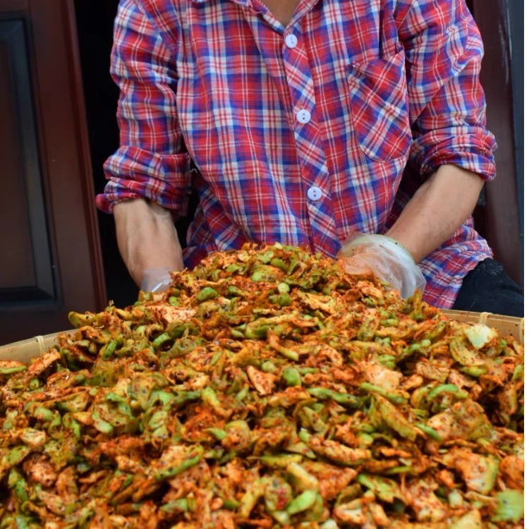 渝杨手工腌菜麻辣榨菜正宗榨菜正宗咸菜下饭菜新鲜脆嫩撑腰爽口