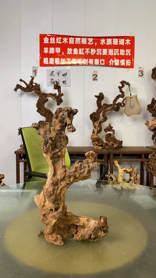 香榧木太****显金丝红木 羊蹄甲