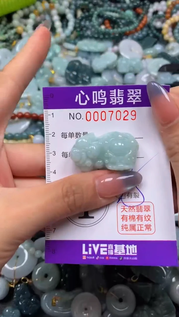 颈饰未镶嵌翡翠闪购007029