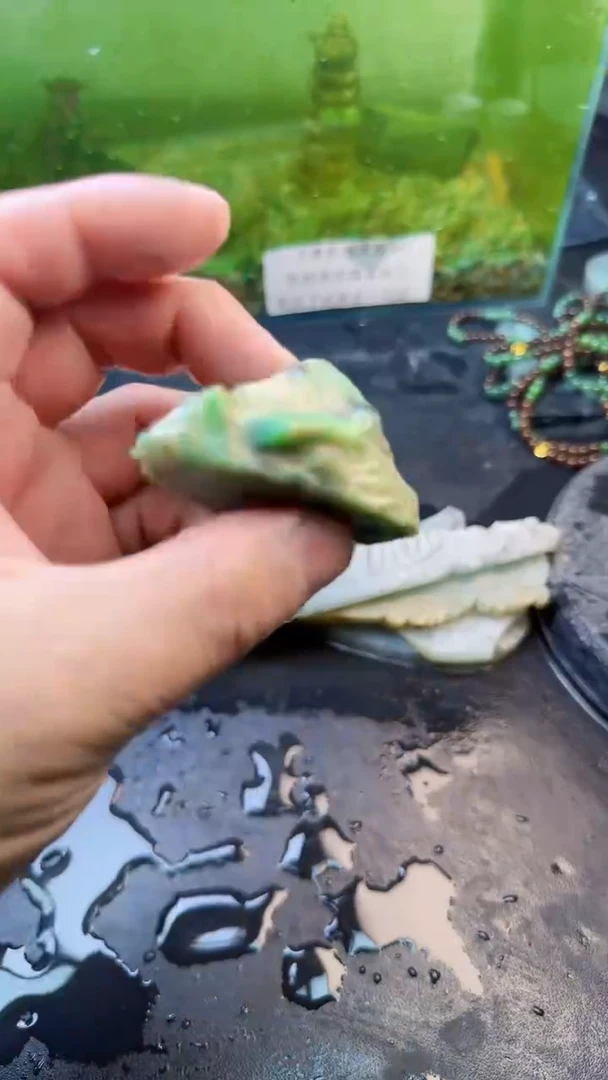 【闪购商品】翡翠颈饰未镶嵌259天然翡翠