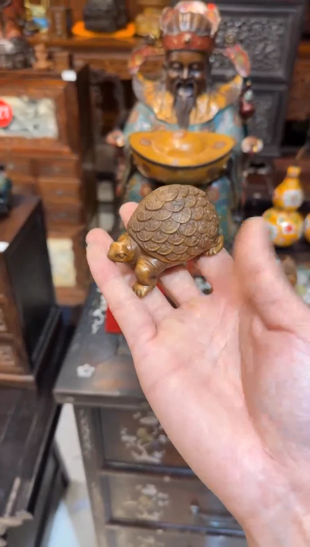 木木头款黄杨金钱龟68