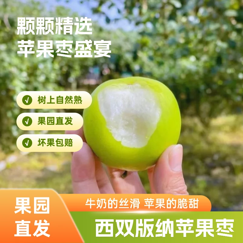 云南西双版纳新鲜苹果枣脆甜多汁果肉细腻应季水果