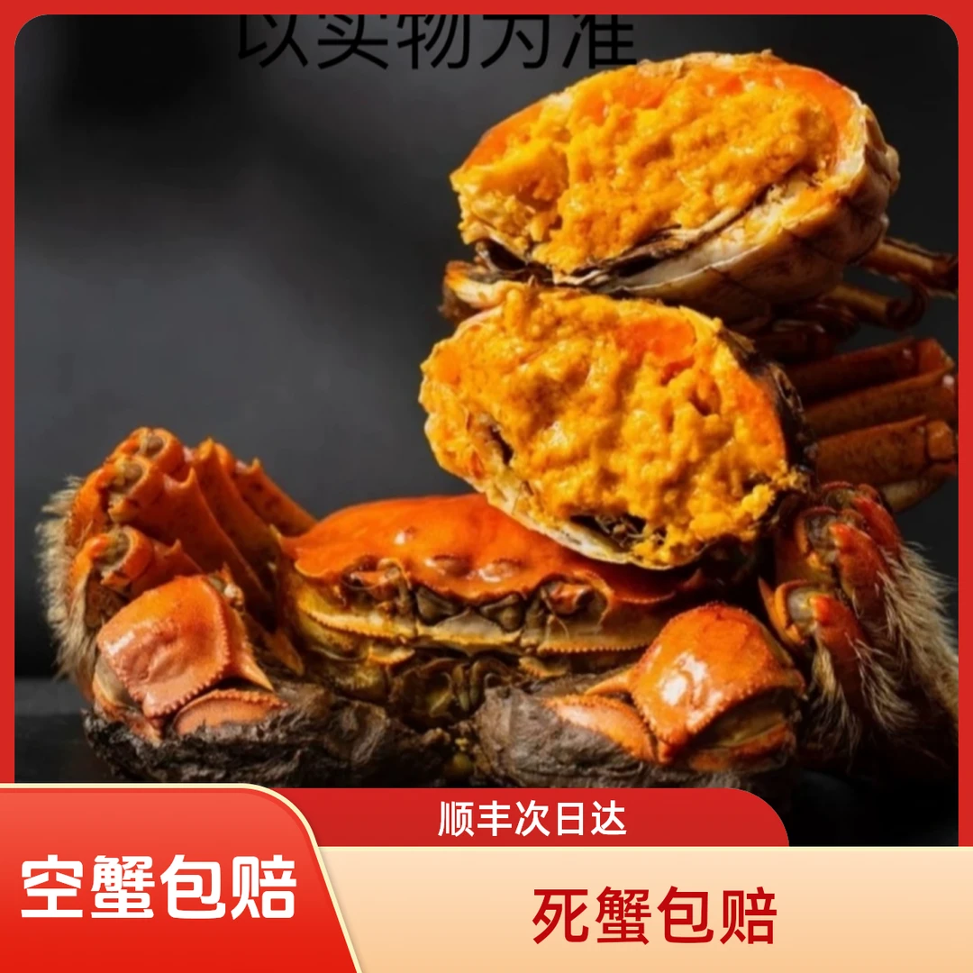 【活蟹】【公蟹+母蟹】盘锦河蟹 2.1-1.8两/只公蟹 8只+1.8-1.5两/只母蟹 8只 共16只 【顺丰明天到】死蟹按只赔