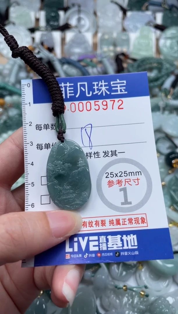 翡翠未镶嵌颈饰00..5972