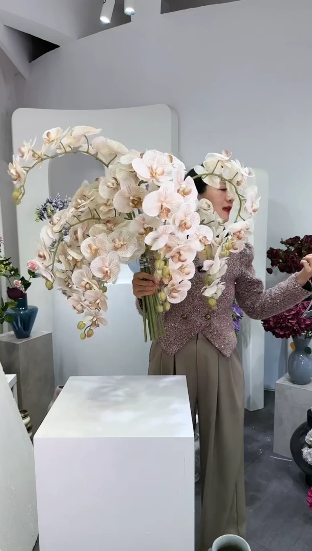 【闪购商品】藤6支奶茶色蝴蝶兰