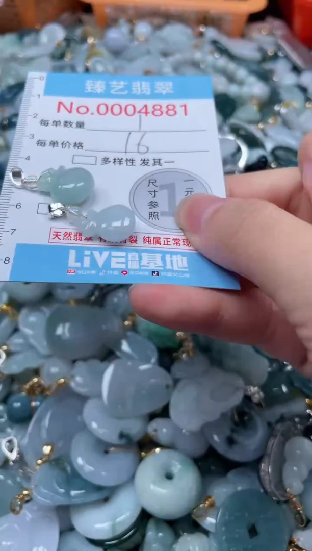 颈饰未镶嵌翡翠4881