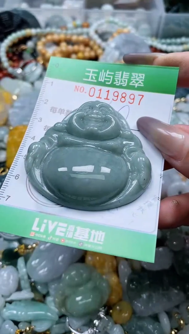 翡翠未镶嵌颈饰闪购0119897