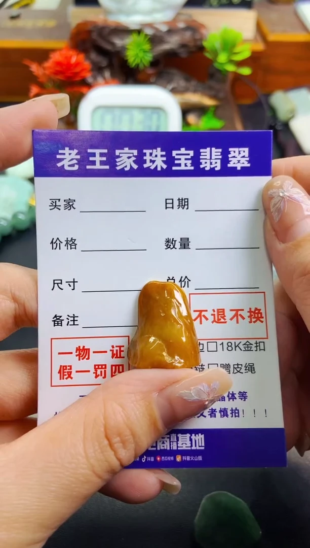 【闪购商品】翡翠颈饰未镶嵌料子
