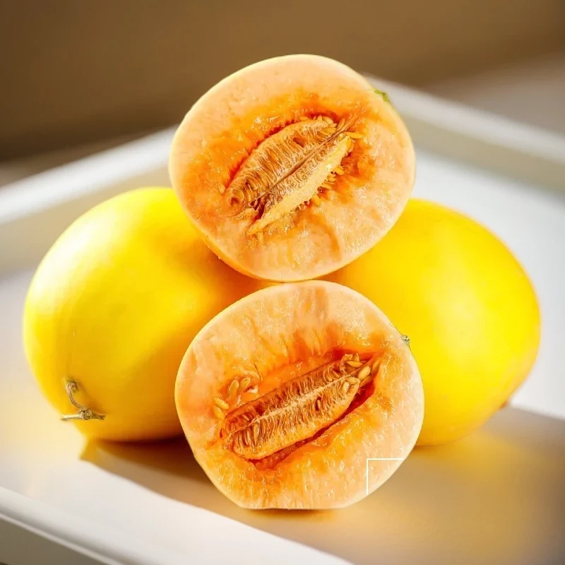 民勤蜜瓜精品金红宝瓜4.5-5斤顺丰快递新鲜水果产地直发