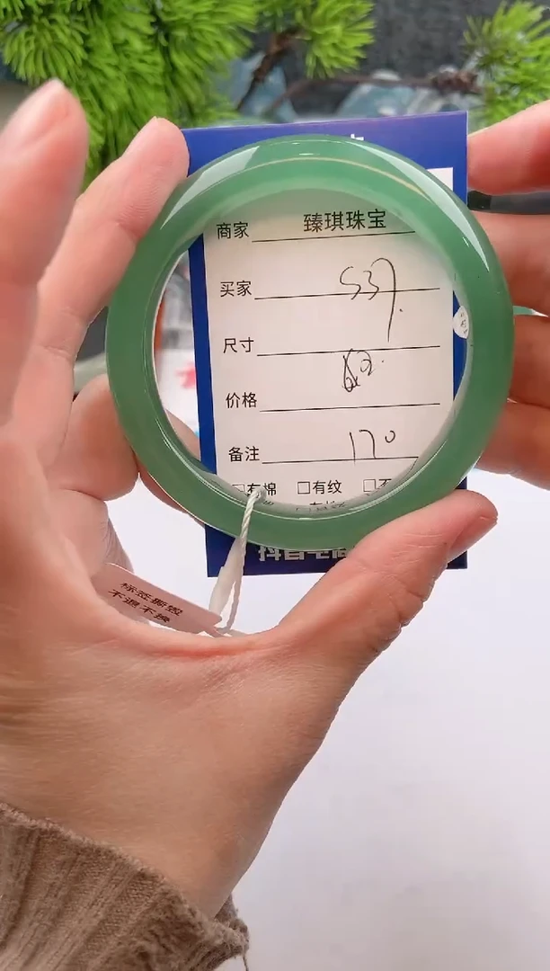 【闪购商品】石英质玉手镯未镶嵌s37东陵玉微色差