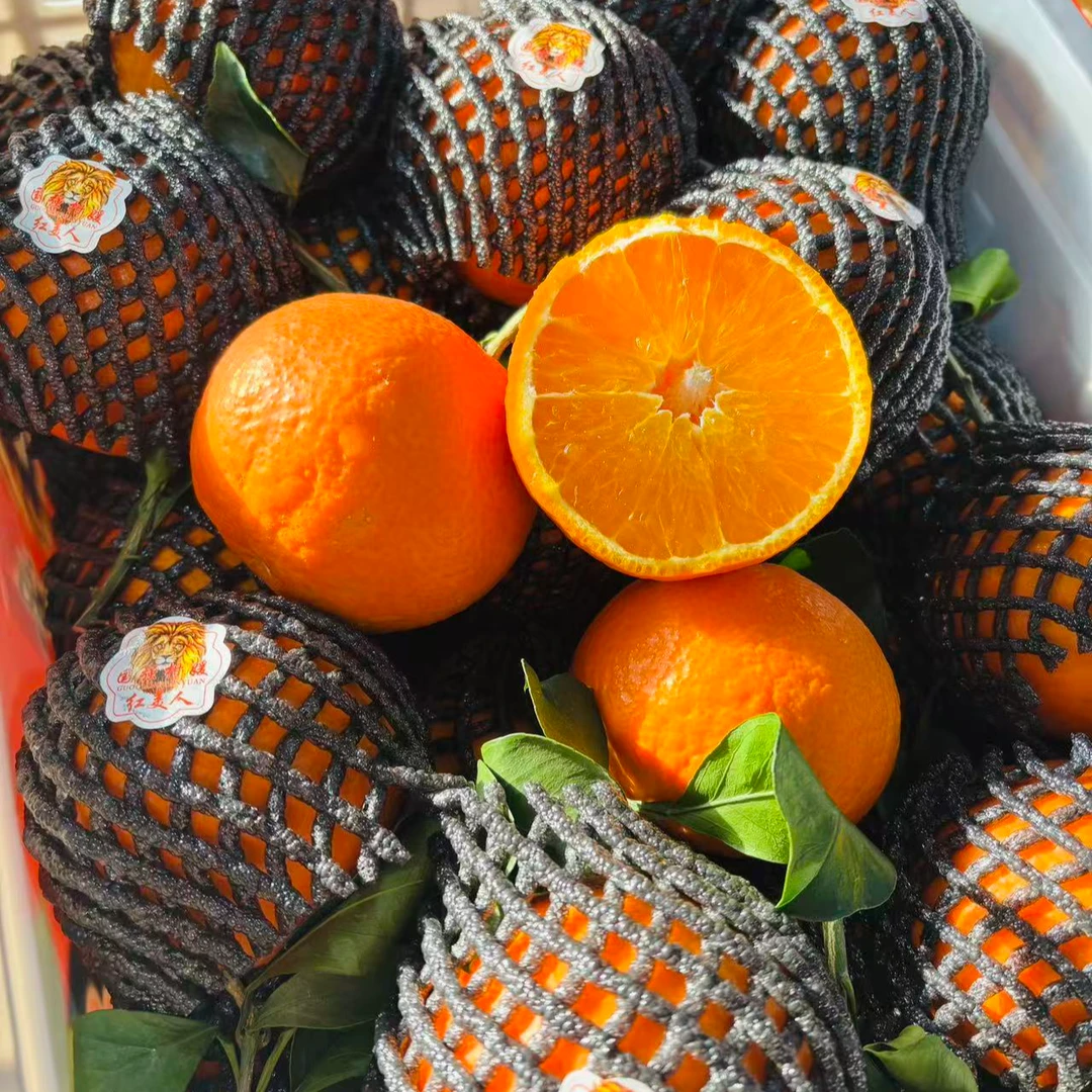 【散装5斤】国强红美人果冻橙散装5斤左右